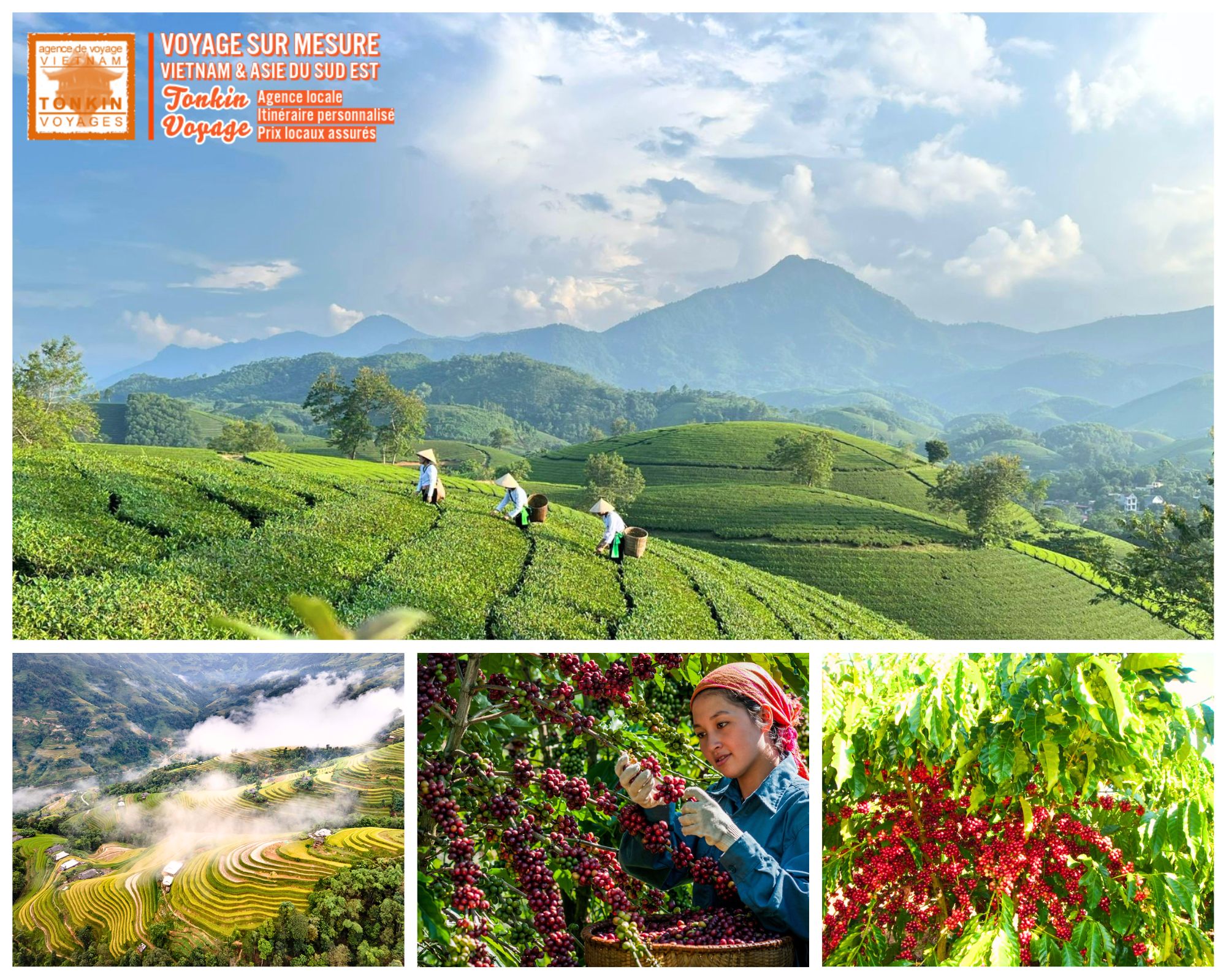 Agrotourisme au Vietnam : rizi&egrave;res, th&eacute;, caf&eacute; et vergers